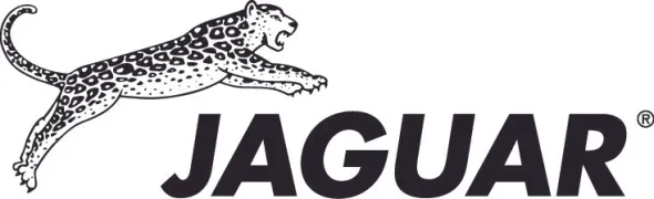 Jaguar Logo